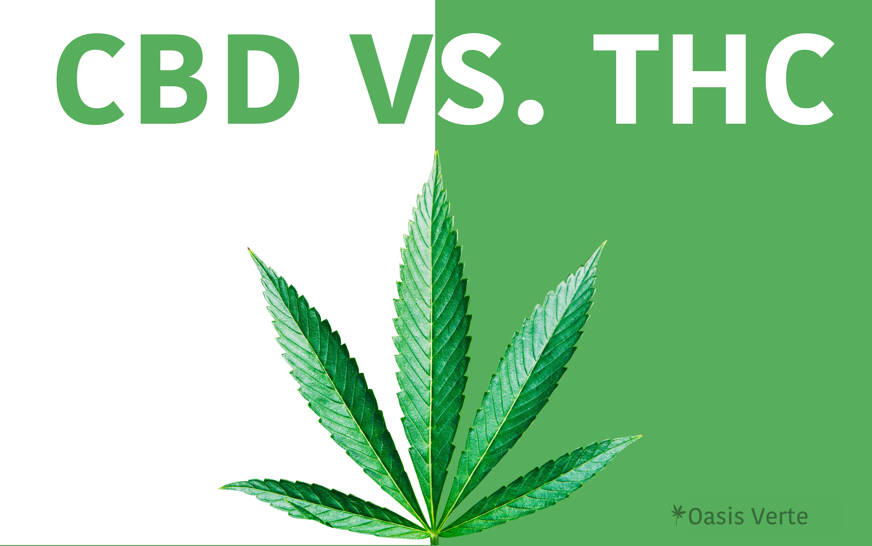 cbd vs thc